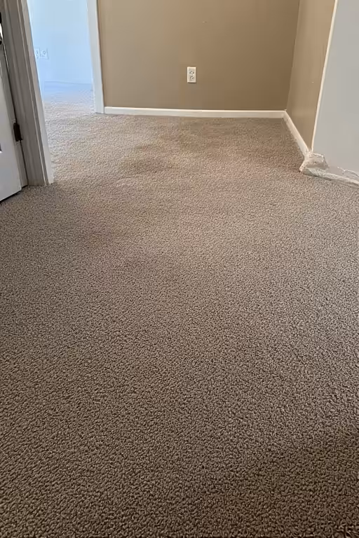 Carpet Cleaning portrait 2 Carpet Cleaning portrait 2