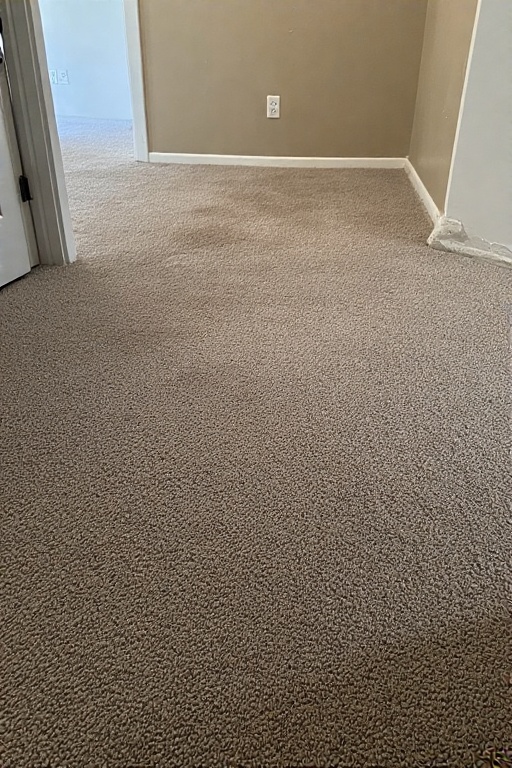 Carpet Cleaning portrait 2