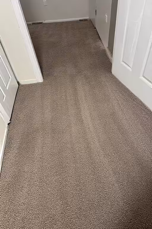 Carpet Cleaning portrait Carpet Cleaning portrait
